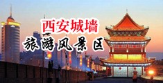 日逼爽歪歪了中国陕西-西安城墙旅游风景区