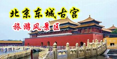 大鸡巴插骚逼视频大学版中国北京-东城古宫旅游风景区